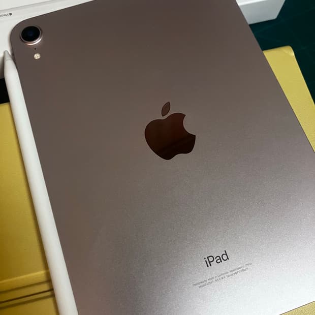 아이패드 미니 6세대 64기가 와이파이 핑크, 애플펜슬 2세대