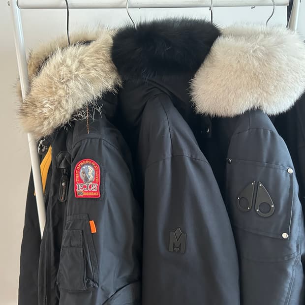 맥케이지 딕슨 금장 42 22fw