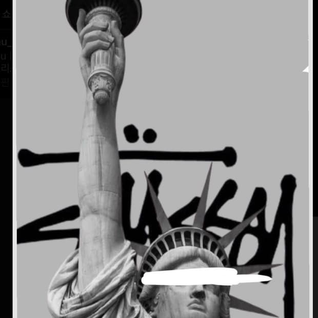 스투시 토르소 그래픽 후드 집업