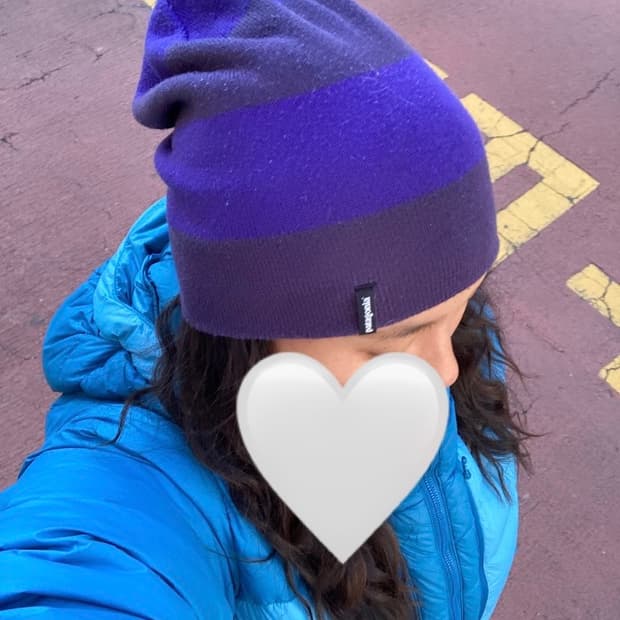 파타고니아 비니