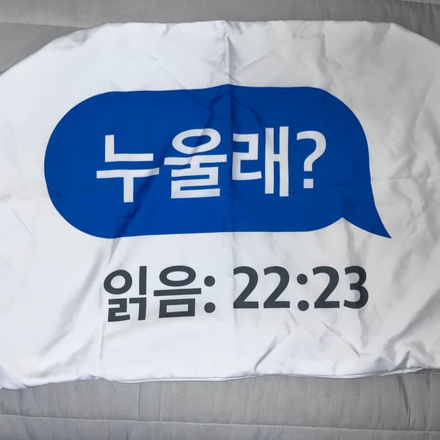 (새상품)류정란 누울래? 베개커버