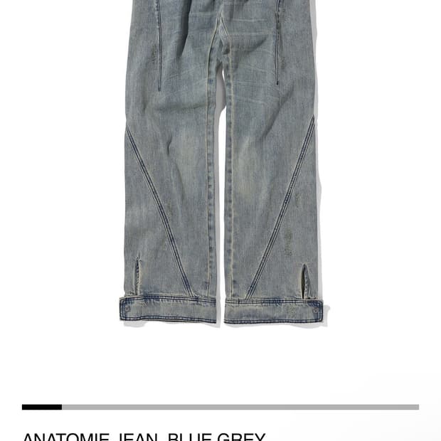 삽니다)) Mschf anatomie jean 미스치프 어나토미에 진