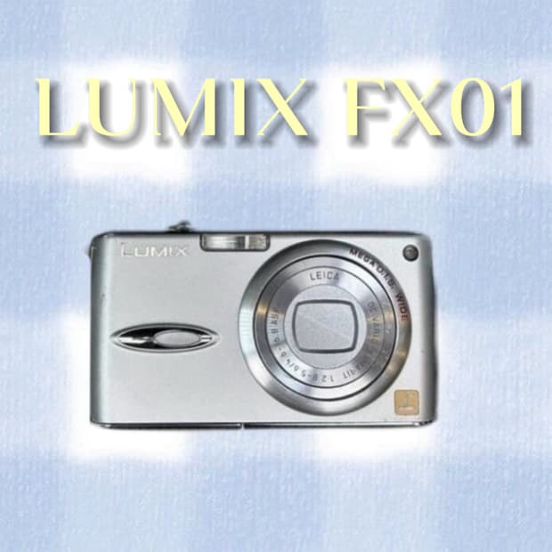 ํ๋์๋ ๋ฃจ๋ฏน์ค DMC-FX01 ๋์นด