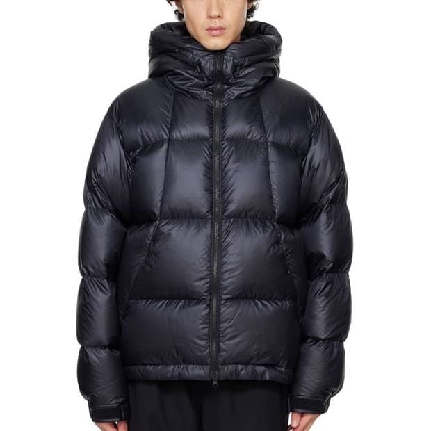 골드윈 퍼텍스 퀀텀 다운 파카 [4]