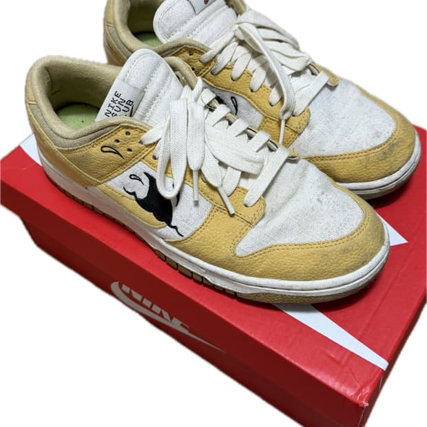 나이키 덩크 270