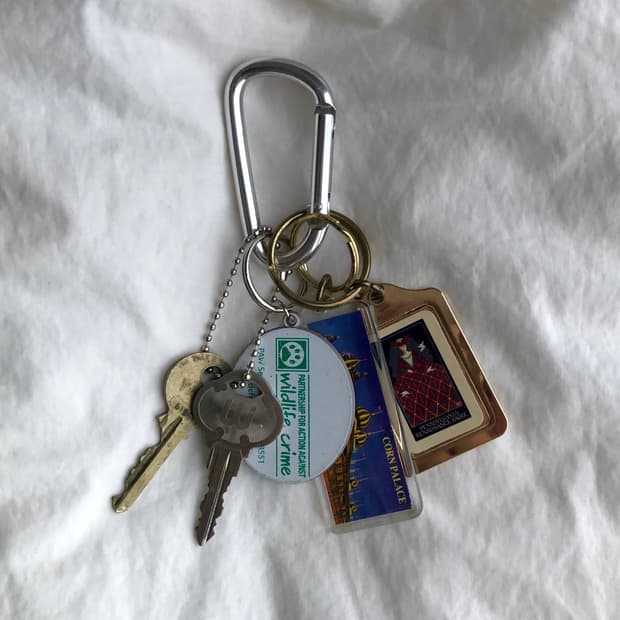 🎁Someone's Keyring #301