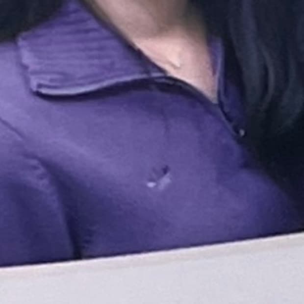 아디다스 크롭 니트