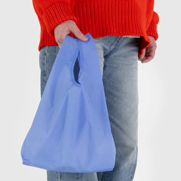 바쿠백 베이비백 콘플라워