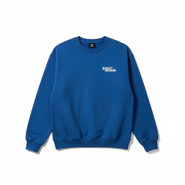 할리 데이비슨 맨투맨 L