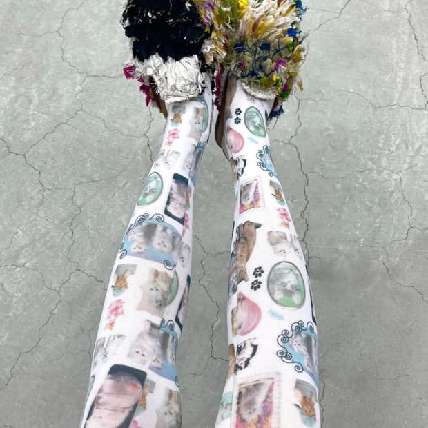 애슐리윌리엄스 캣 스타킹