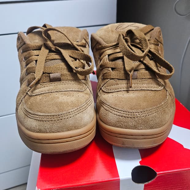 [260]es 엑셀 브라운