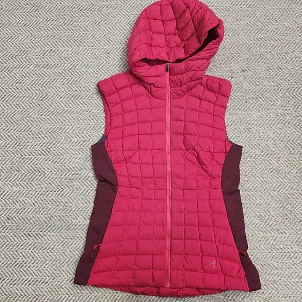 아크테릭스 구스 다운 