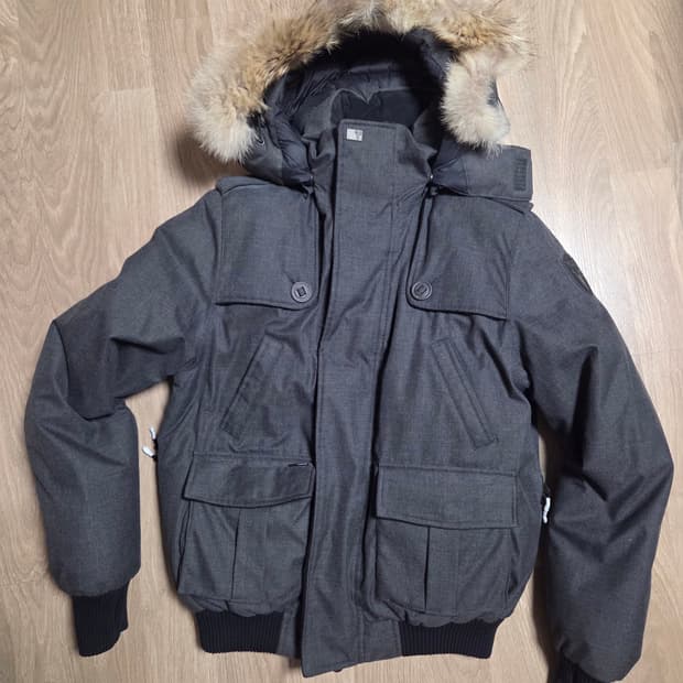 노비스 카르텔 그레이