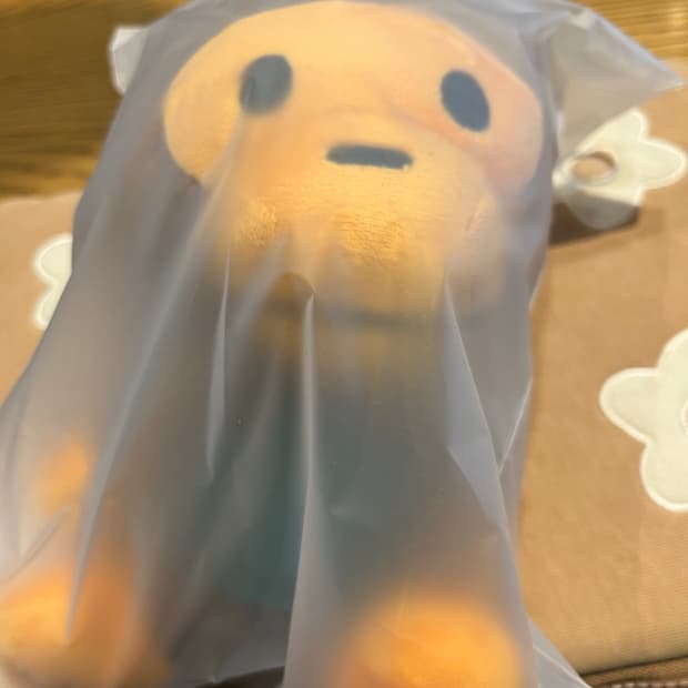 스타벅스 베이프 베이비 마일로 폴더블 백