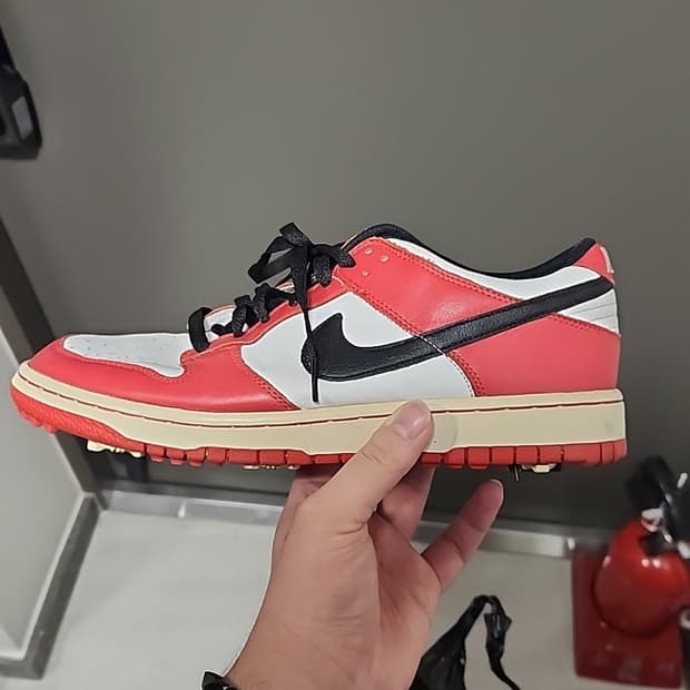 나이키 시카고 덩크 NG