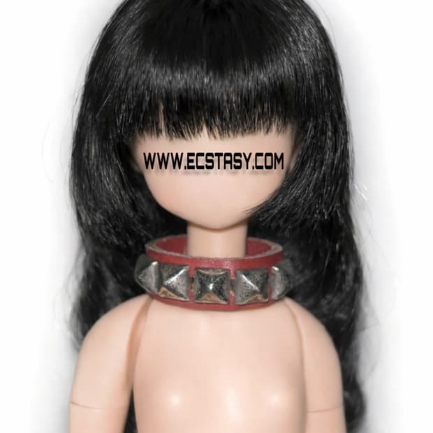 렌탈 전용 결제창