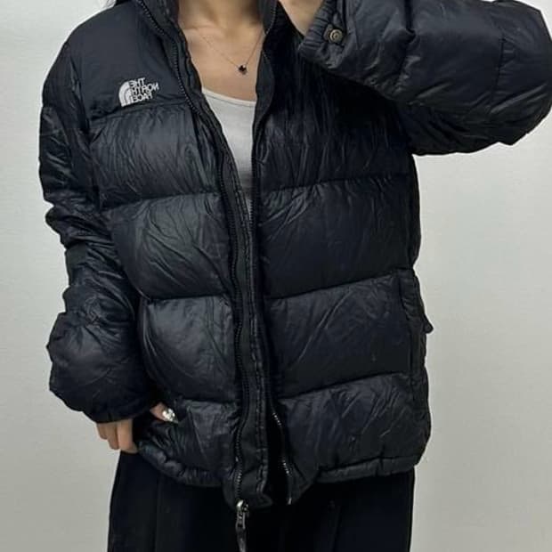 노스페이스 700눕시 구스다운 푸퍼 패딩(90)