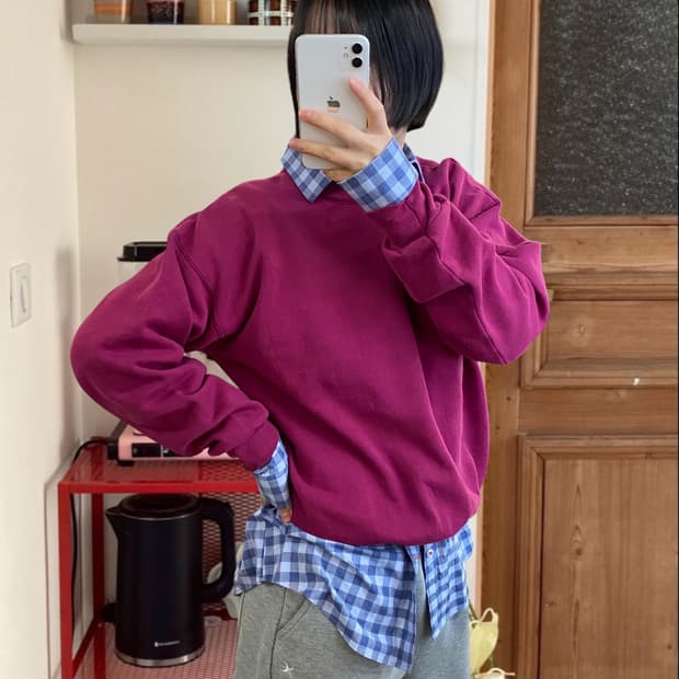 헤인즈 스웻셔츠 (Man L) AA1058