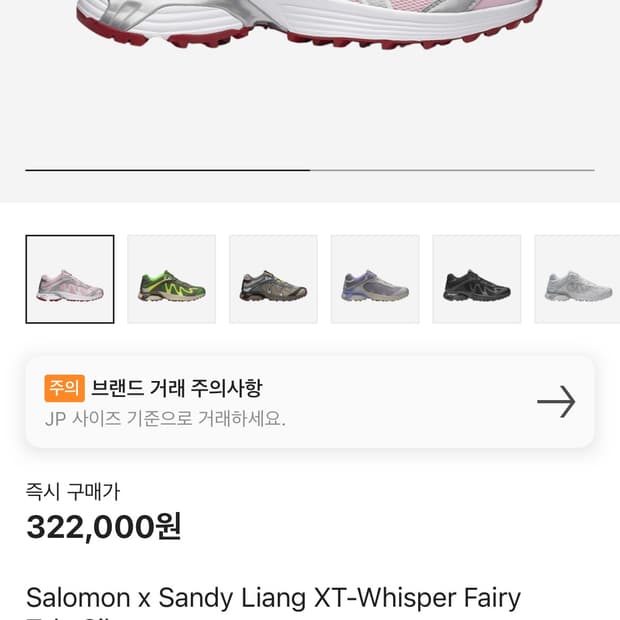 살로몬 샌디리앙 xt - 위스퍼페어리테일실버 245