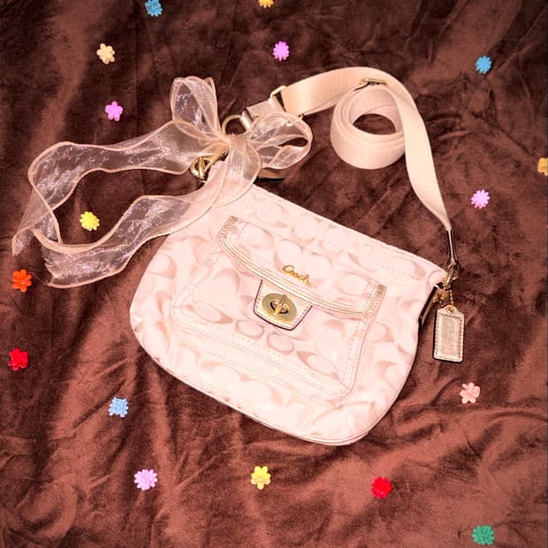 🌸페어리) Coach 코치 시그니처 크로스숄더백 소프트핑크