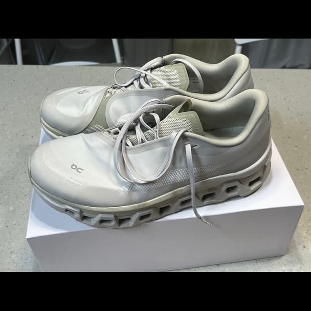 온러닝 파프 클라우드몬스터 300