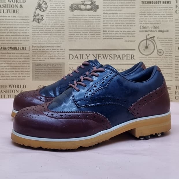 헤지스 여성 골프화 225