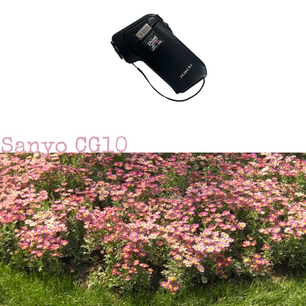Sanyo CG10