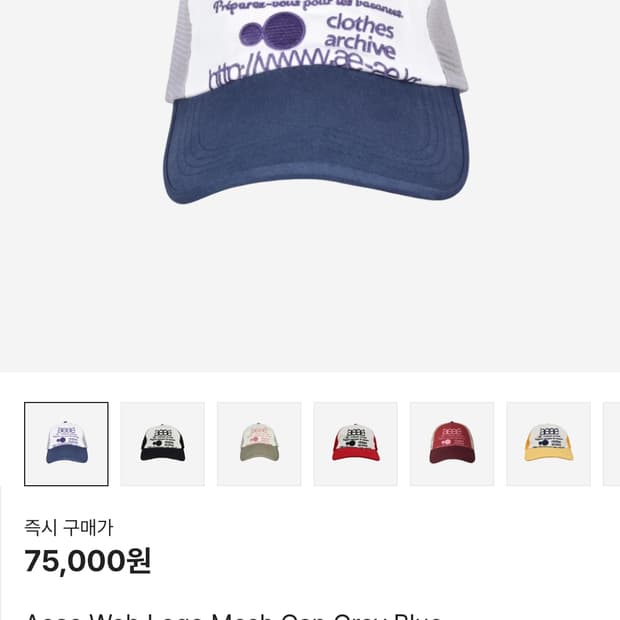 aeae 웹 로고 메쉬 캡 그레이 블루