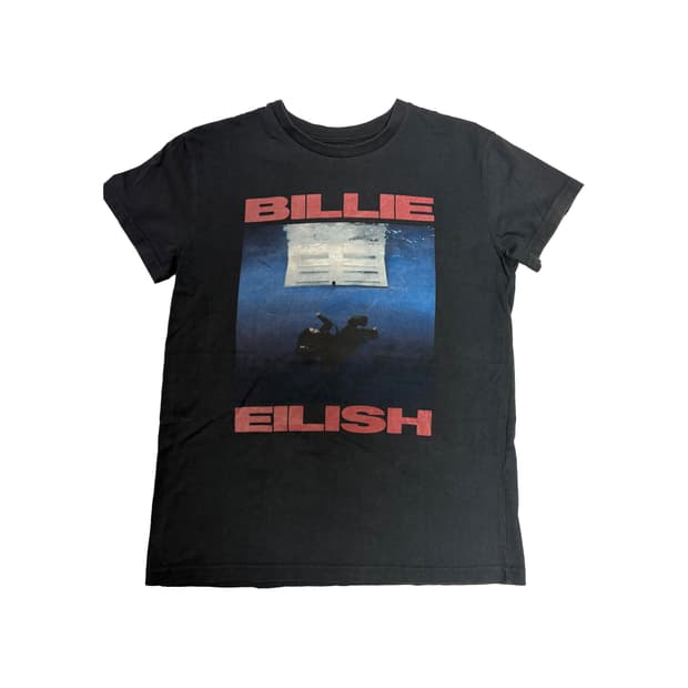 Billie Eilish 24 Hit Me Hard and Soft Al