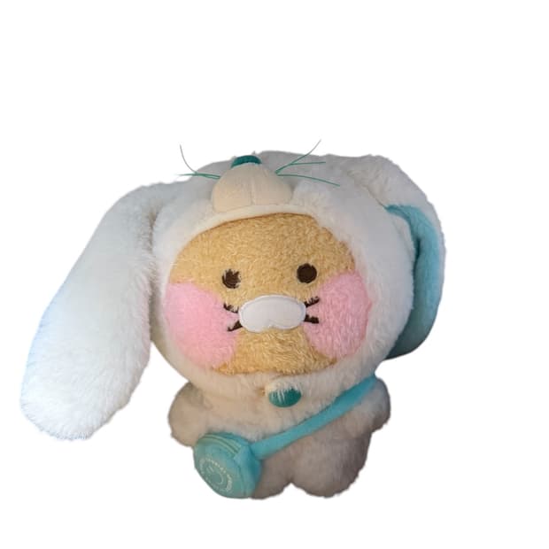 춘식이 인형 + 옷