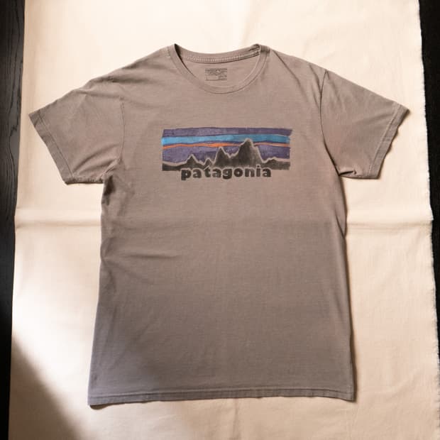 Patagonia ‘Archive Logo’ Paint Tee ~100
