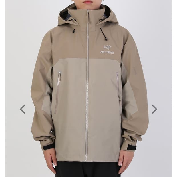 아크테릭스 베타(BETA) AR smoke bluff