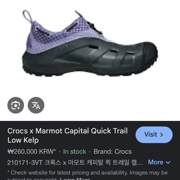 크락스 마모트 콜라보 