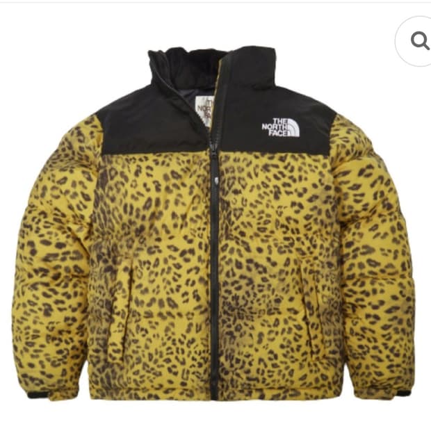 노스페이스 레오파드 눕시