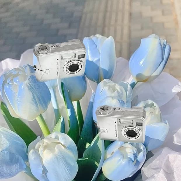 추천!) Kodak Easyshare C330디카캠코더