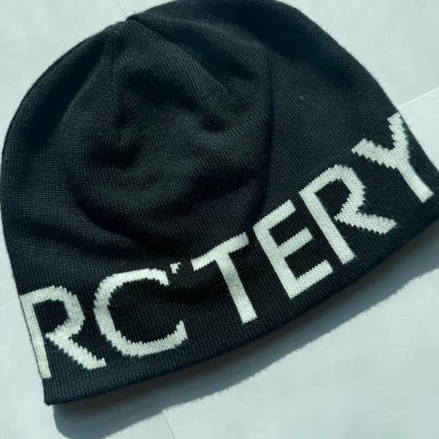 아크테릭스비니