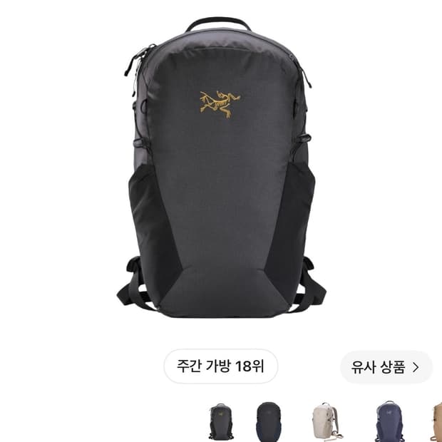 아크테릭스 맨티스 16