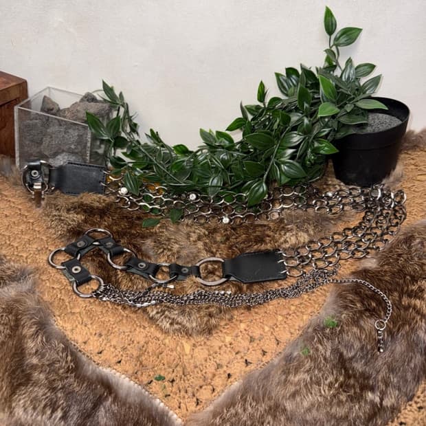 Belt2