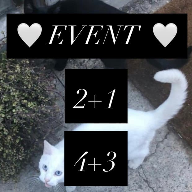 ♥ Event ♥