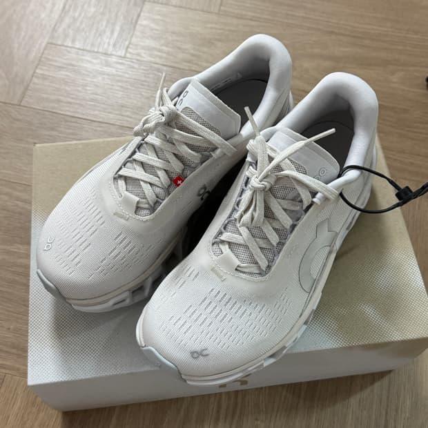 온러닝 클라우드몬스터2 샌드프로스트 5w