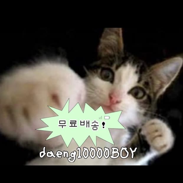 💕무료배송💕