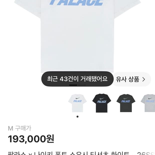 팔라스 나이키 반팔 티셔츠 M