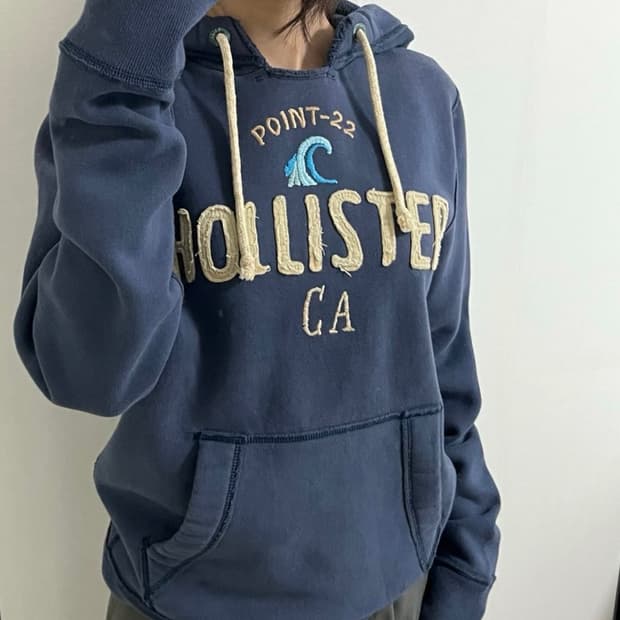 홀리스터 후드티