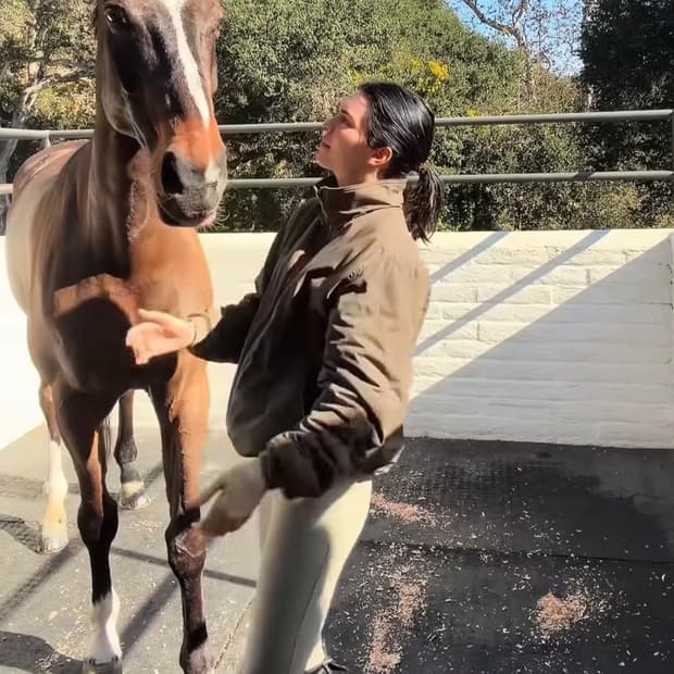 LL bean 워밍업 자켓 플리스 토프브라운