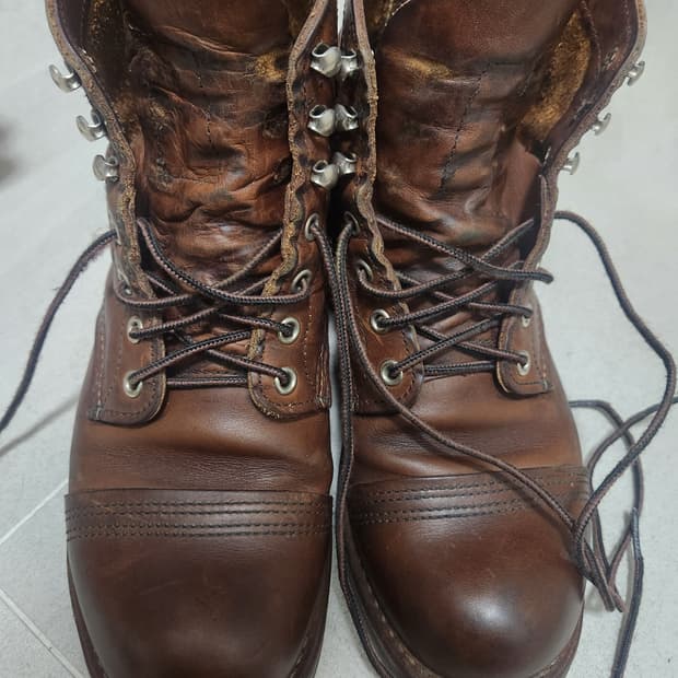 레드윙  아이언레인저8111  255/7반