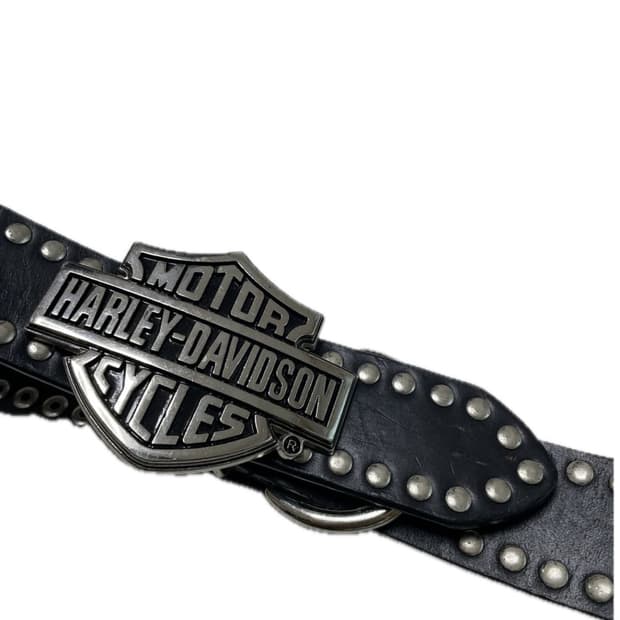 할리 징버클벨트