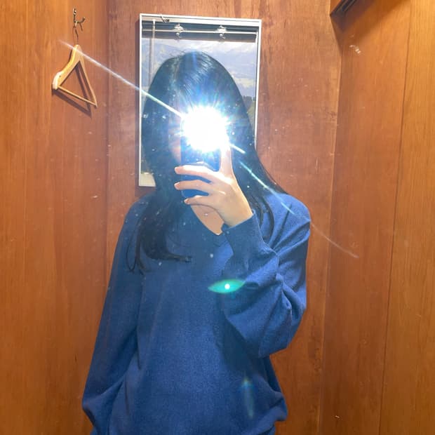 (L) L.L.Bean 엘엘빈 브이넥 니트