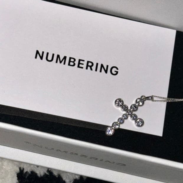 NUMBERING #3729 (silver)