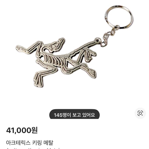 아크테릭스 메탈 키링 2개