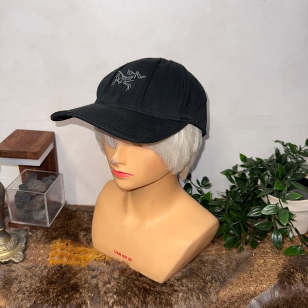 Arc’teryx black bird ball cap